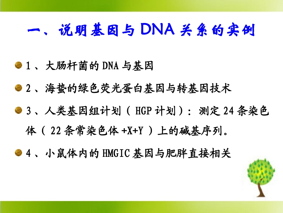 《基因是有遗传效应的DNA片段》参考课件2_第3页