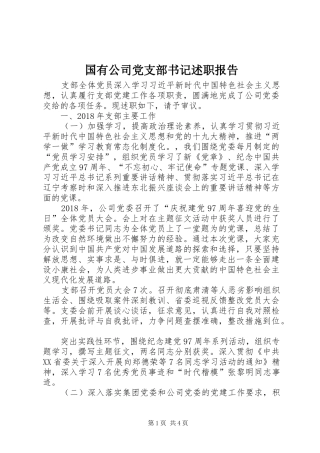 国有公司党支部书记述职报告
