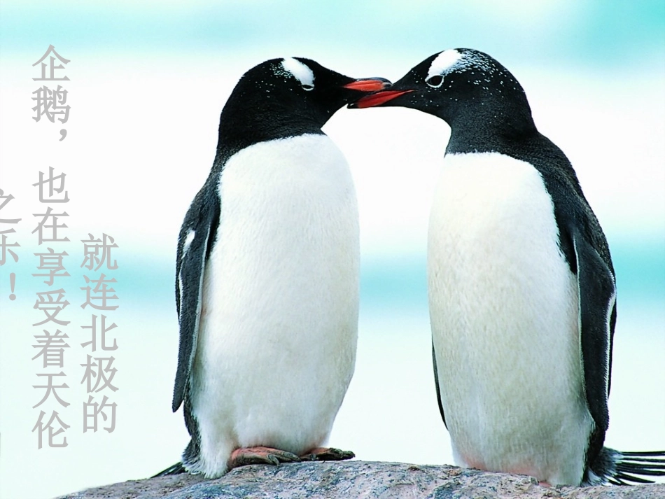 【减数分裂】_第3页