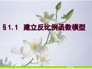 建立反比例函数模型