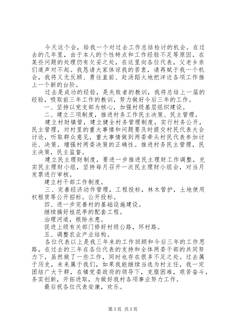 村主任述职报告 (28)_第3页