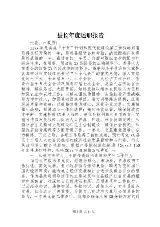 县长年度述职报告