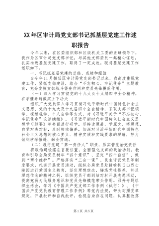 XX年区审计局党支部书记抓基层党建工作述职报告