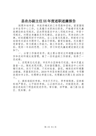 县农办副主任XX年度述职述廉报告