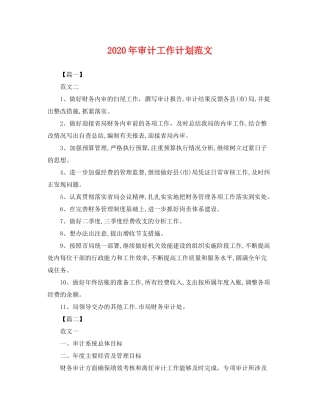 2020年审计工作计划范文2
