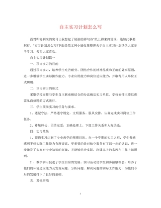 自主实习计划怎么写