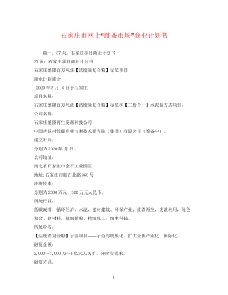 石家庄市网上跳蚤市场商业计划书