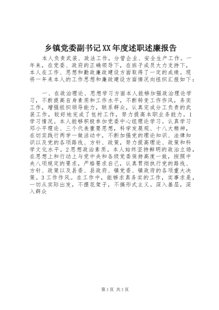 乡镇党委副书记XX年度述职述廉报告