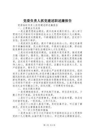 党委负责人抓党建述职述廉报告