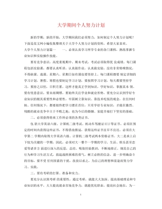 大学期间个人努力计划