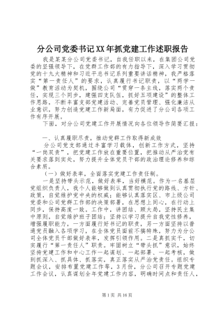 分公司党委书记XX年抓党建工作述职报告