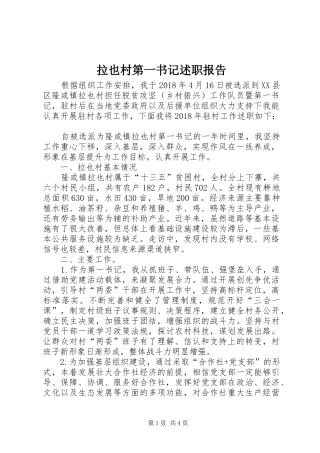 拉也村第一书记述职报告