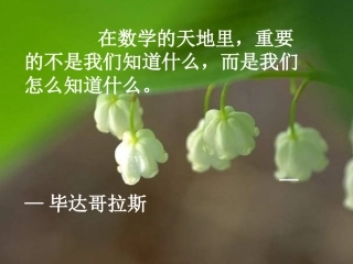 新人教版八年级数学平均数_教学课件12