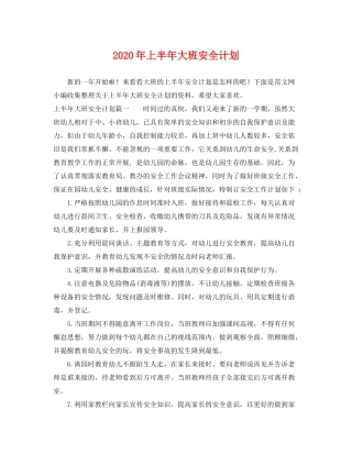 2020年上半年大班安全计划