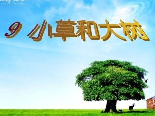 小草和大树PPT