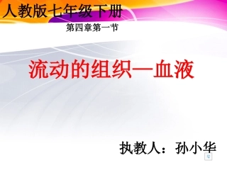流动的组织-血液