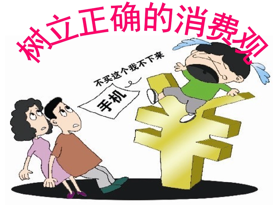 树立正确的消费观 (4)_第3页