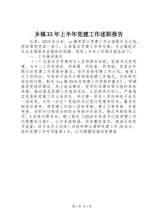 乡镇XX年上半年党建工作述职报告