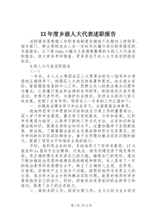 XX年度乡级人大代表述职报告