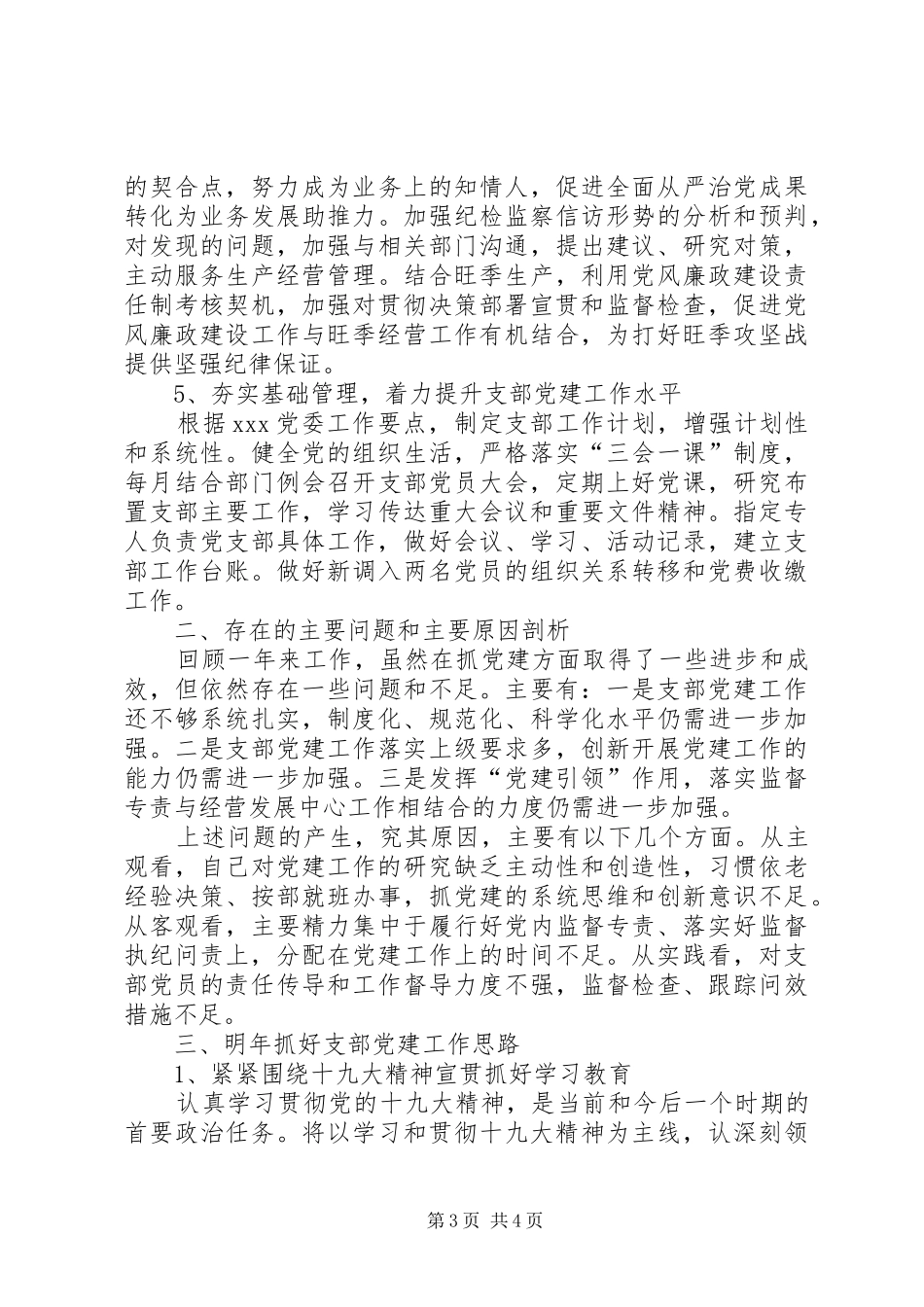 -XX年党支部书记抓党建工作述职报告_第3页