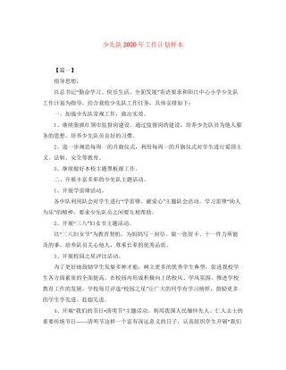 少先队年工作计划样本