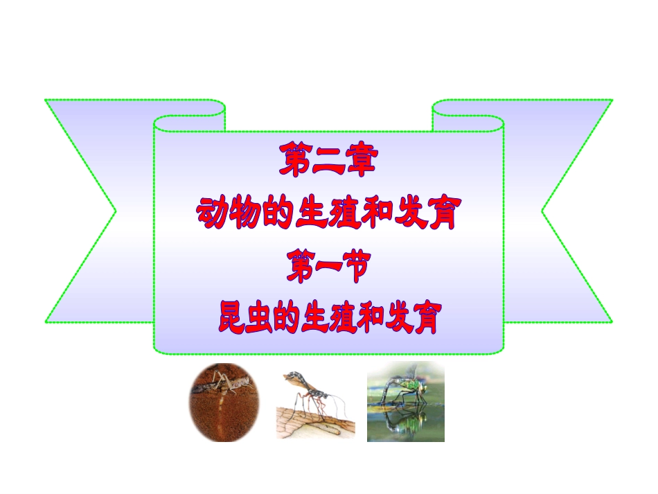 昆虫的生殖和发育(1)_第1页