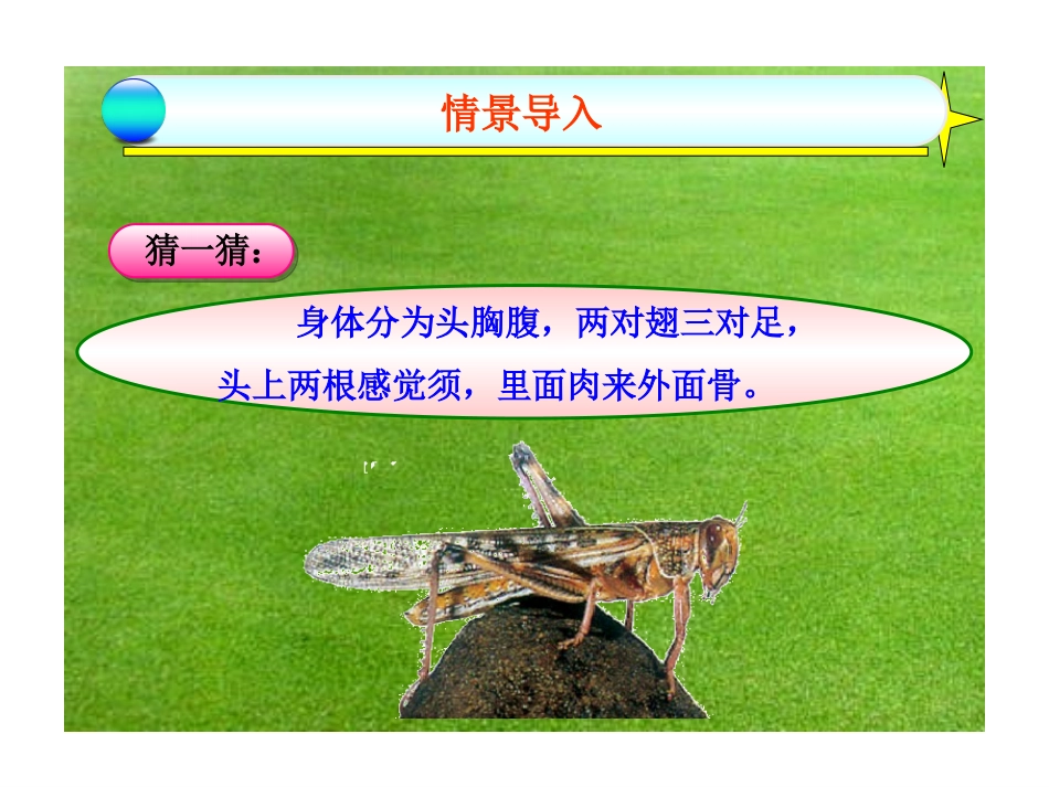 昆虫的生殖和发育(1)_第2页