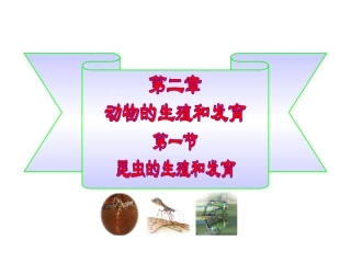 昆虫的生殖和发育(1)