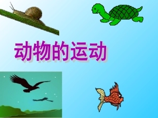 《动物的运动》课件1