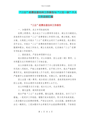 “三公”经费自查自纠工作报告与“三支一扶”个人工作总结汇编