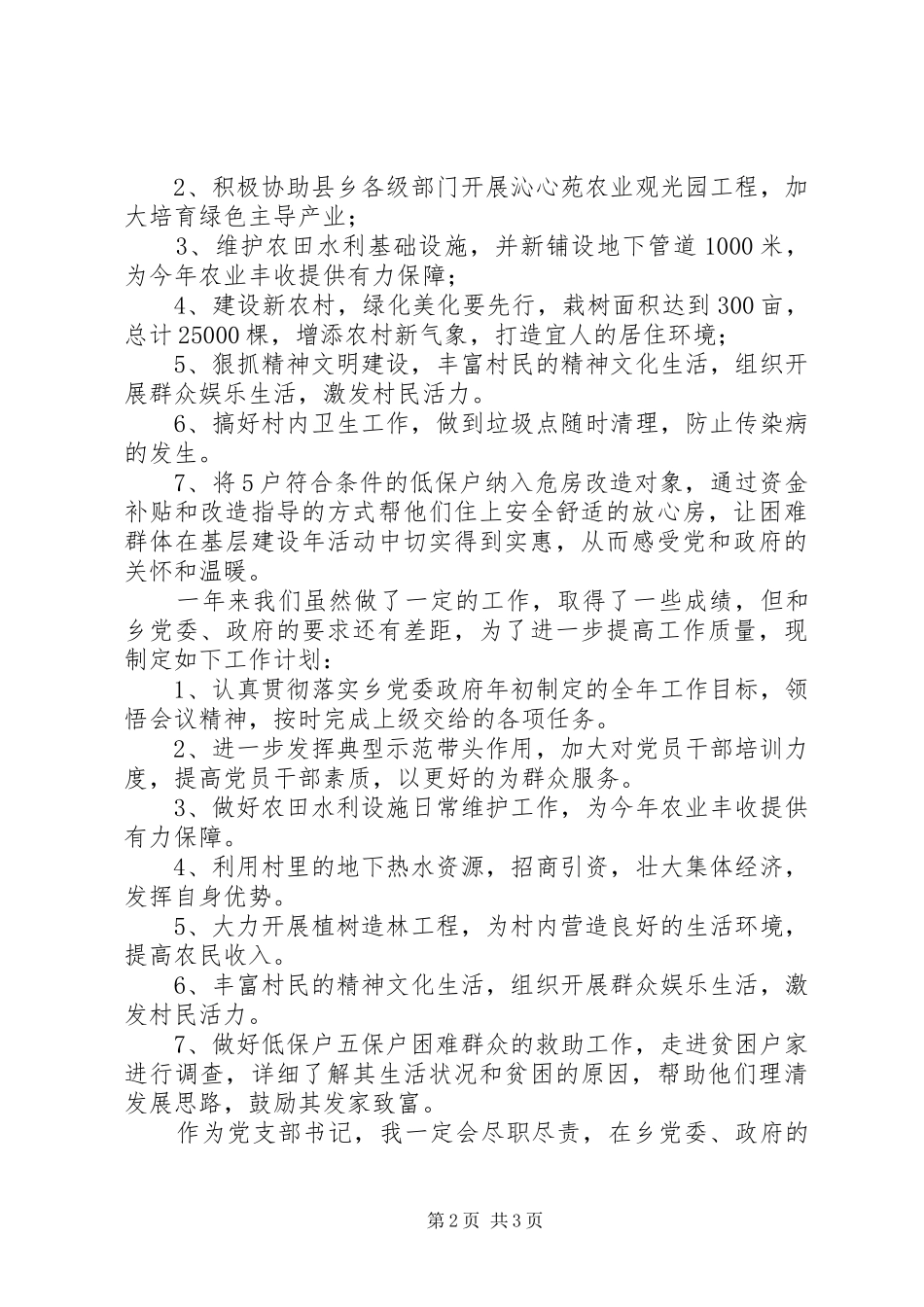 村支部书记年度个人述职报告_第2页