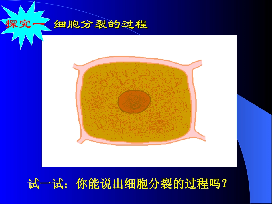 细胞分裂过程（微课程）_第2页