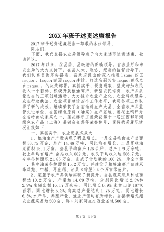 20XX年班子述责述廉报告