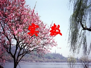 人教版八年级数学《实数》总复习课件