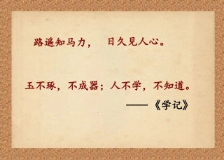 虽有嘉肴课件