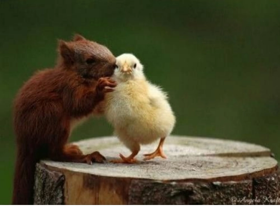 小学四年级生命的药方_第3页