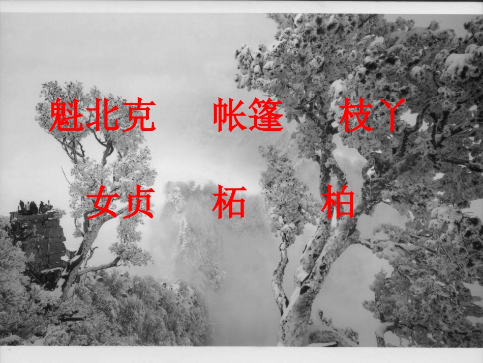 山谷中的谜底_第3页