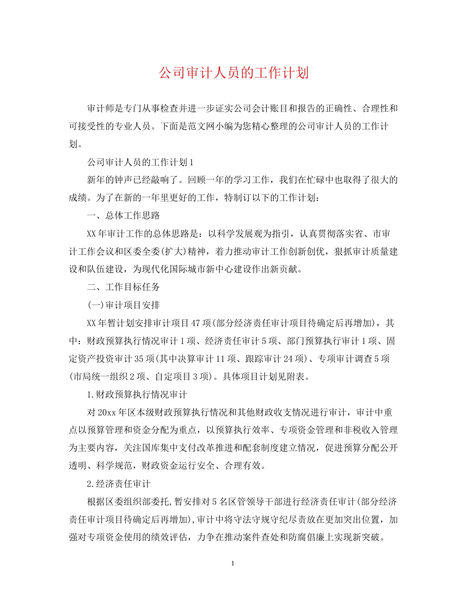 公司审计人员的工作计划_第1页