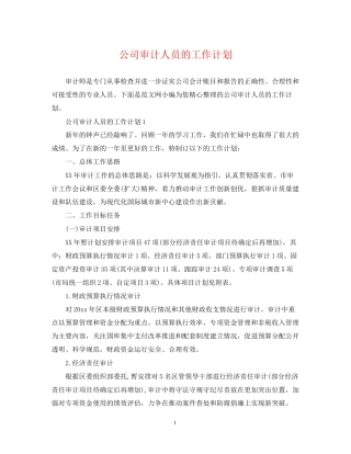 公司审计人员的工作计划