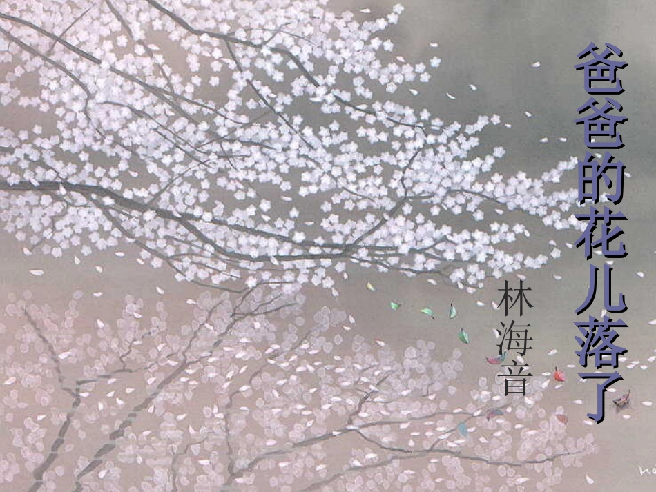 爸爸的花儿落了-课件_第1页