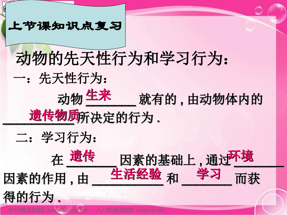 人教版生物八上第三节《_社会行为》课件_第2页