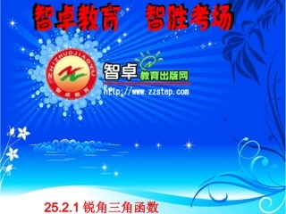 锐角三角函数课时