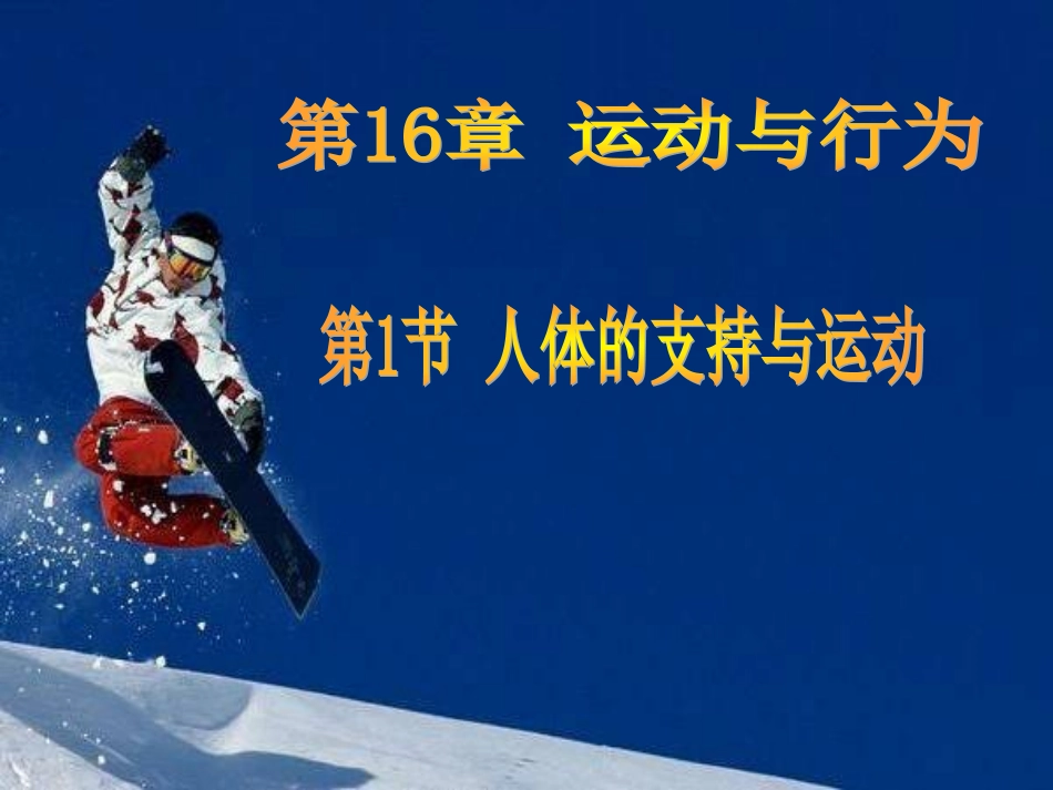 苏科版生物_161人体的运动_第1页