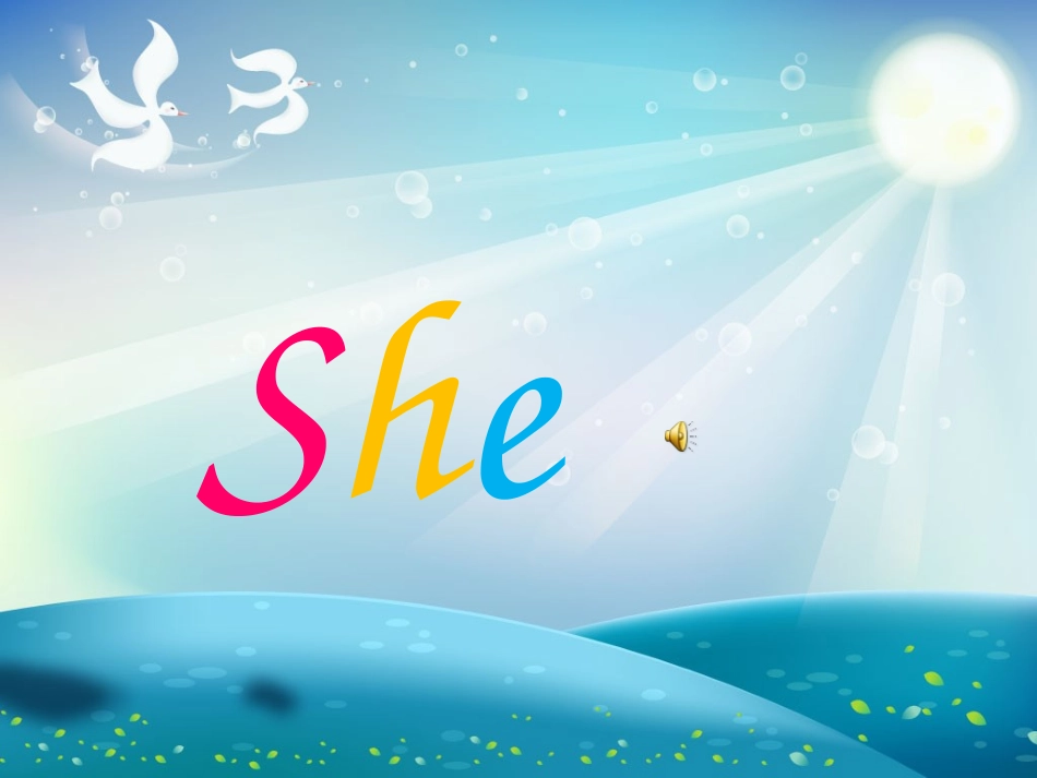 初中中考定语从句专题_第1页