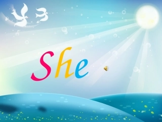 初中中考定语从句专题