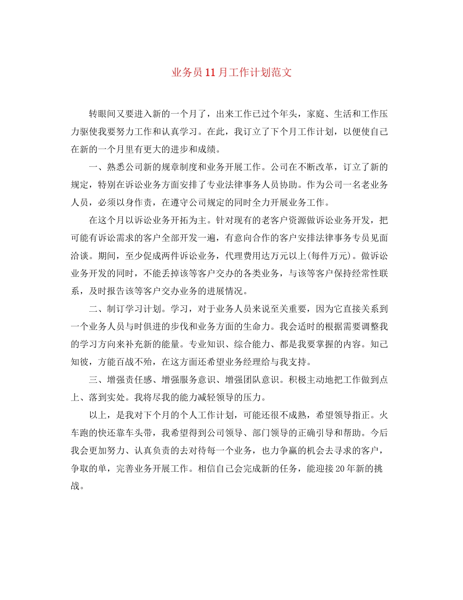 业务员11月工作计划范文_第1页