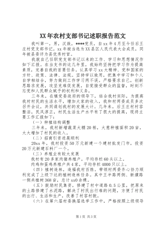 XX年农村支部书记述职报告范文