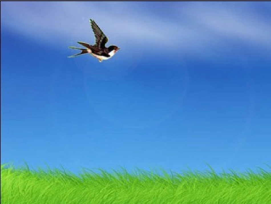 一年级语文下册《阳台上的小鸟》PPT课件(语文S版)_第1页