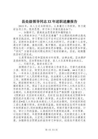 县处级领导同志XX年述职述廉报告