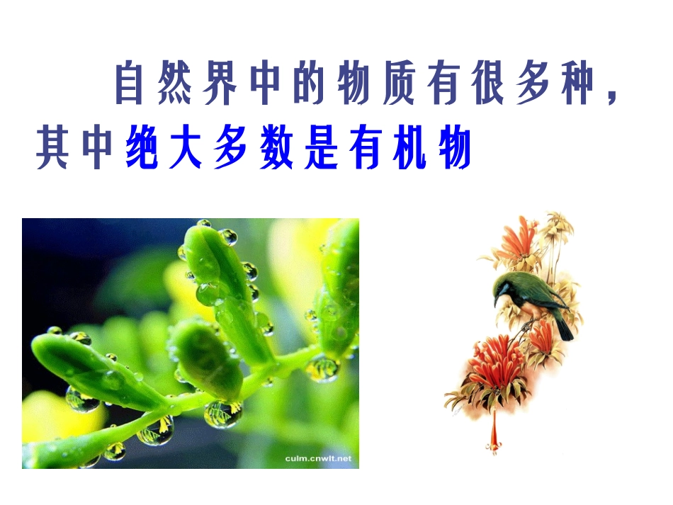 有机物和有机合成材料_第2页